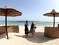 Marsa Alam Divers Hotel Marsa Alam Divers Hotel